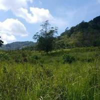 Land plot at the second line of the sea / lake, in the suburbs in Thailand, Phuket