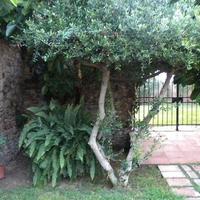 Другое в Испании, Каталония, Багур