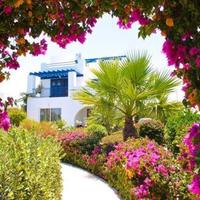 House in Republic of Cyprus, Eparchia Pafou