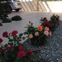 Дом на Кипре, Протарас, 283 кв.м.