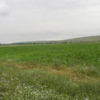 Land plot in the suburbs in Bulgaria, Pleven Province 