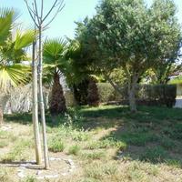 Вилла на второй линии моря/озера, в пригороде в Португалии, Албуфейра, 180 кв.м.