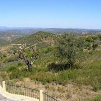 Другое в пригороде в Португалии, Албуфейра, 1387 кв.м.