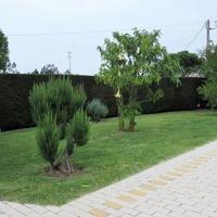 Другое в пригороде в Португалии, Албуфейра, 400 кв.м.