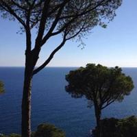 House in Spain, Catalunya, Girona, 338 sq.m.