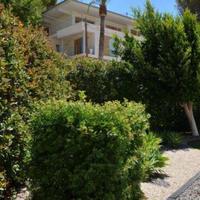 House in Spain, Comunitat Valenciana, Alicante, 700 sq.m.