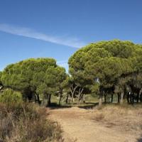Land plot at the second line of the sea / lake, in the suburbs in Portugal, Albufeira