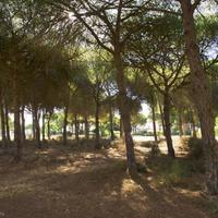 Land plot at the second line of the sea / lake, in the suburbs in Portugal, Albufeira