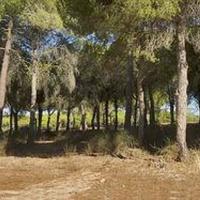 Land plot at the second line of the sea / lake, in the suburbs in Portugal, Albufeira