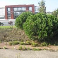 Другое в пригороде в Португалии, Лиссабон