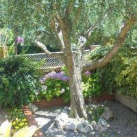 House in Spain, Catalunya, Barcelona, 354 sq.m.