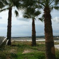 Villa in Republic of Cyprus, Eparchia Pafou, 710 sq.m.