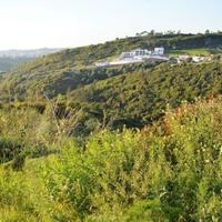 Вилла в пригороде в Португалии, Албуфейра, 1072 кв.м.