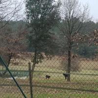 Другое в пригороде в Испании, Каталония, Жирона, 280 кв.м.