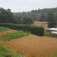 Другое в пригороде в Испании, Каталония, Жирона, 280 кв.м.