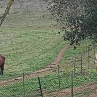 Другое в пригороде в Испании, Каталония, Жирона, 280 кв.м.