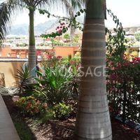 Апартаменты в Испании, Канарские Острова, Санта-Крус-де-Тенерифе, 182 кв.м.