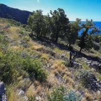 Земельный участок на второй линии моря/озера, в пригороде в Черногории, Будва, Пржно