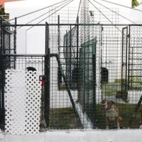 Villa at the second line of the sea / lake, in the suburbs in Portugal, Lisbon, 500 sq.m.