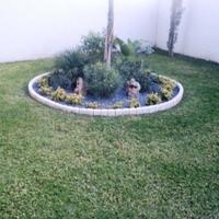 Дом на Кипре, Лимасол, 415 кв.м.