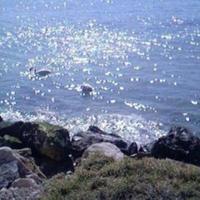 Земельный участок на второй линии моря/озера, в пригороде в Болгарии, Бургасская область, Елените