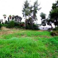 Land plot in Spain, Comunitat Valenciana, Alicante