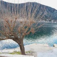 Villa at the first line of the sea / lake, in the suburbs in Montenegro, Kotor, 220 sq.m.