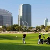 Квартира в ОАЭ, Дубаи, Аджман, 452 кв.м.