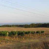 Земельный участок на второй линии моря/озера, в пригороде в Болгарии, Варненская область, Елените