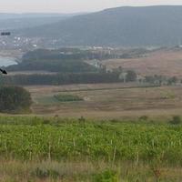 Земельный участок на второй линии моря/озера, в пригороде в Болгарии, Варненская область, Елените