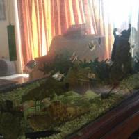 Дом на Кипре, Пафос, Никосия, 300 кв.м.