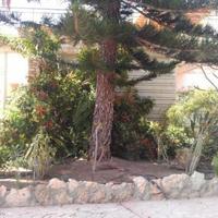 Дом на Кипре, Пафос, Никосия, 300 кв.м.