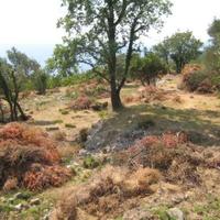 Земельный участок на второй линии моря/озера, в пригороде в Черногории, Будва, Пржно