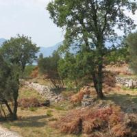 Земельный участок на второй линии моря/озера, в пригороде в Черногории, Будва, Пржно