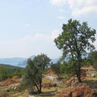 Земельный участок на второй линии моря/озера, в пригороде в Черногории, Будва, Пржно