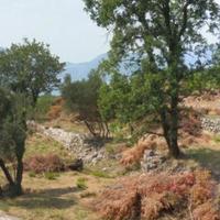 Земельный участок на второй линии моря/озера, в пригороде в Черногории, Будва, Пржно