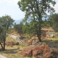 Земельный участок на второй линии моря/озера, в пригороде в Черногории, Будва, Пржно