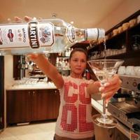 Hotel at the second line of the sea / lake, in the suburbs in Bulgaria, Burgas Province, Elenite, 550 sq.m.