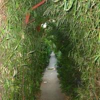 Hotel at the second line of the sea / lake, in the suburbs in Bulgaria, Varna region, Elenite, 1300 sq.m.