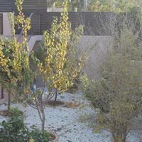 Дом на Кипре, Лимасол, 380 кв.м.