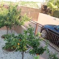 Дом на Кипре, Лимасол, 380 кв.м.