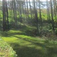 Land plot in Latvia, Adazu Novads, Adazi