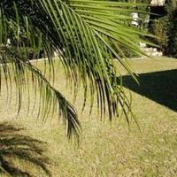 Дом на Кипре, Ларнака, 390 кв.м.