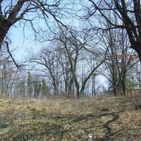 Земельный участок на второй линии моря/озера, в пригороде в Болгарии, Варненская область, Елените