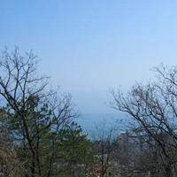 Земельный участок на второй линии моря/озера, в пригороде в Болгарии, Варненская область, Елените