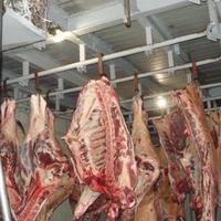 Другое в Болгарии, Добричская область, 4700 кв.м.