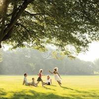 Other in United Arab Emirates, 277 sq.m.