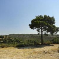 House in Republic of Cyprus, Lemesou, 450 sq.m.