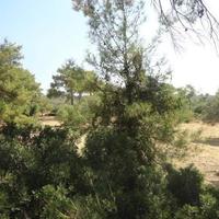 House in Republic of Cyprus, Lemesou, 450 sq.m.