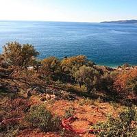 Земельный участок на первой линии моря/озера, в пригороде в Черногории, Будва, Пржно